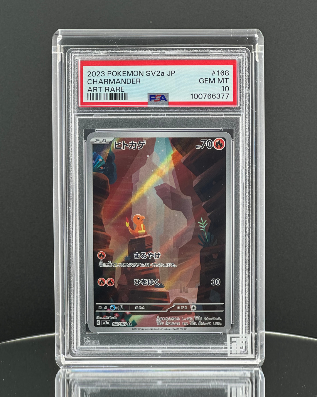 PSA Slab Display Case