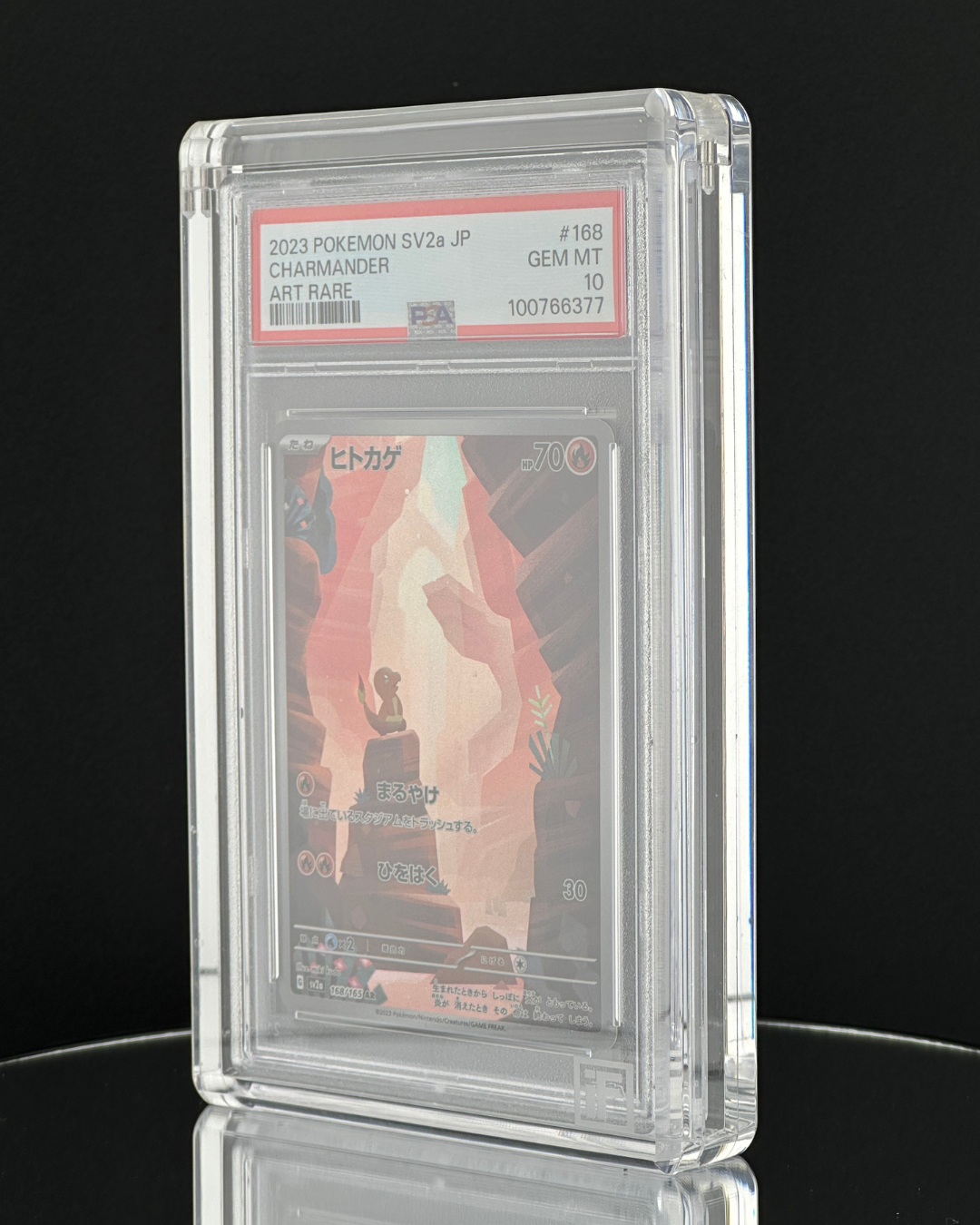 PSA Slab Display Case